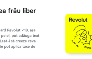 Carduri pentru copii: Ce bănci din România au conturi speciale pentru minori – „Wall-Street.ro”