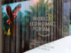 World Economic Forum 2024: Davos (CH) insights