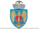 Aprobat: Pe stema Capitalei va fi reprezentat Sfântul Dimitrie cel Nou, Ocrotitorul Bucureștilor
