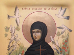 7 August: Sfânta Teodora de la Sihla sfanta cuvioasa teodora