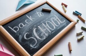 Structura anului școlar 2024 – 2025 back to school