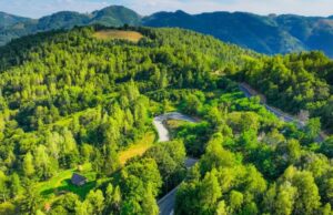 Transapuseana, unul dintre cele mai frumoase drumuri din România se deschide în septembrie transapuseana (transalpina de apuseni)