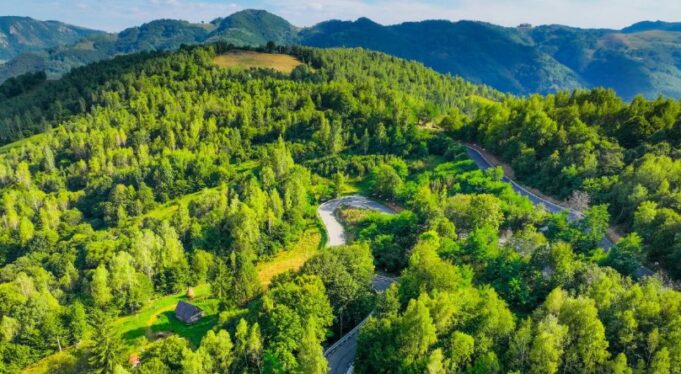 Transapuseana, unul dintre cele mai frumoase drumuri din România se deschide în septembrie transapuseana (transalpina de apuseni)