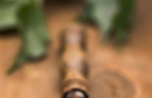 Pudra de roșcove (carob) – proprietăți și beneficii pudra de roscove