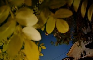 Programul praznicelor din perioada 23 Decembrie 2024 – 12 Ianuarie 2025 la Schitul Darvari schit darvari