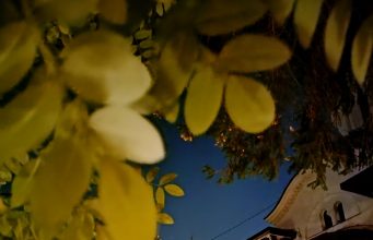 Programul praznicelor din perioada 23 Decembrie 2024 – 12 Ianuarie 2025 la Schitul Darvari schit darvari