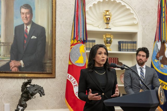 tulsi gabbard - dni director