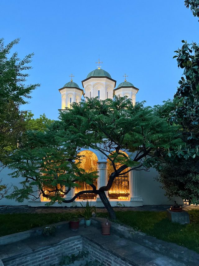 manastirea radu voda