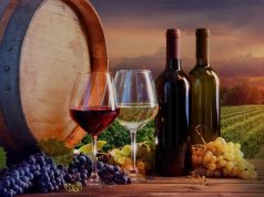 Domeniile Panciu devin Domeniile Pescobar. Rebranding și nou concept gastronomic