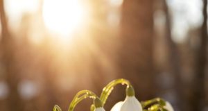 Mărțișorul – între tradiție populară și semnificații creștine