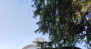 Unde înflorește liniștea — clipe de har la Schitul Darvari