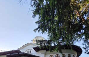 Unde înflorește liniștea — clipe de har la Schitul Darvari