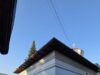 O noapte de rugăciune cu Maica Domnului la Schitul Darvari. Priveghere, Prohod și Sfântul Maslu în ajunul Adormirii Maicii Domnului